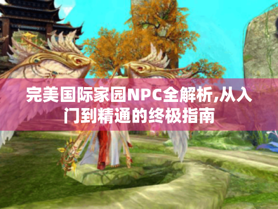 完美国际家园NPC全解析,从入门到精通的终极指南 完美国际家园NPC全解析,从入门到精通的终极指南