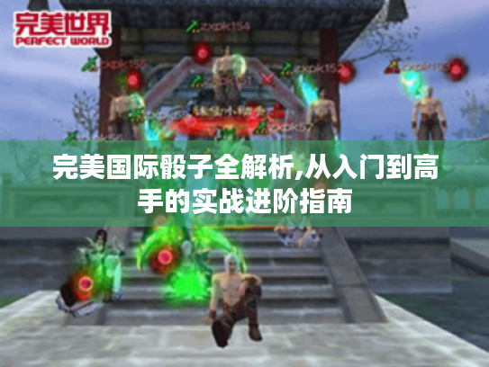 完美国际骰子全解析,从入门到高手的实战进阶指南 完美国际骰子全解析,从入门到高手的实战进阶指南