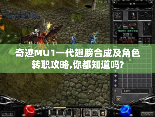 奇迹MU1一代翅膀合成及角色转职攻略,你都知道吗? 奇迹MU1一代翅膀合成及角色转职攻略,你都知道吗?