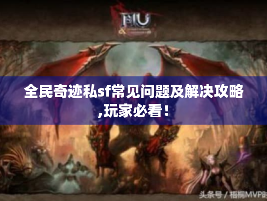 全民奇迹私sf常见问题及解决攻略,玩家必看! 全民奇迹私sf常见问题及解决攻略,玩家必看!