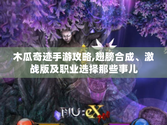 木瓜奇迹手游攻略,翅膀合成、激战版及职业选择那些事儿 木瓜奇迹手游攻略,翅膀合成、激战版及职业选择那些事儿