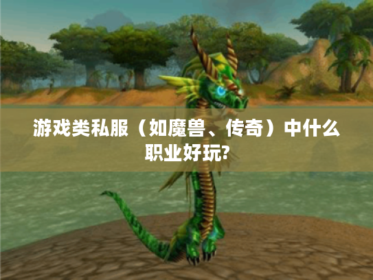 游戏类私服（如魔兽、传奇）中什么职业好玩?
