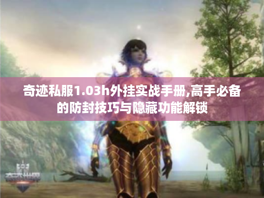 奇迹私服1.03h外挂实战手册,高手必备的防封技巧与隐藏功能解锁 奇迹私服1.03h外挂实战手册,高手必备的防封技巧与隐藏功能解锁
