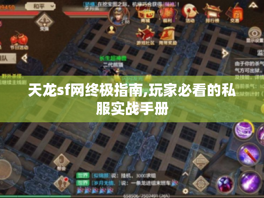 天龙sf网终极指南,玩家必看的私服实战手册 天龙sf网终极指南,玩家必看的私服实战手册