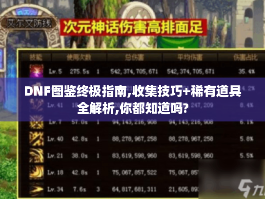 DNF图鉴终极指南,收集技巧+稀有道具全解析,你都知道吗?