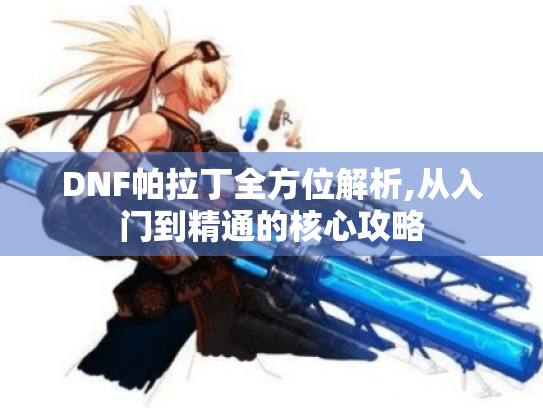 DNF帕拉丁全方位解析,从入门到精通的核心攻略 DNF帕拉丁全方位解析,从入门到精通的核心攻略