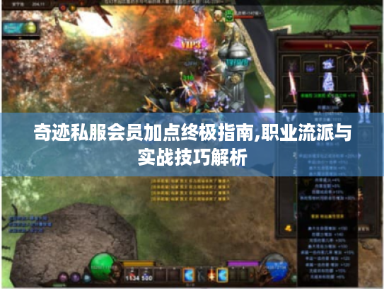 奇迹私服会员加点终极指南,职业流派与实战技巧解析 奇迹私服会员加点终极指南,职业流派与实战技巧解析