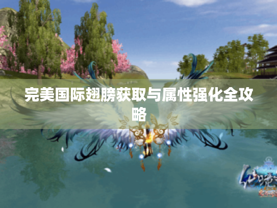 完美国际翅膀获取与属性强化全攻略 完美国际翅膀获取与属性强化全攻略