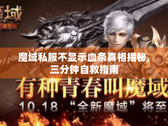 魔域私服不显示血条真相揭秘,三分钟自救指南 魔域私服不显示血条真相揭秘,三分钟自救指南