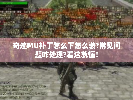 奇迹MU补丁怎么下怎么装?常见问题咋处理?看这就懂! 奇迹MU补丁怎么下怎么装?常见问题咋处理?看这就懂!