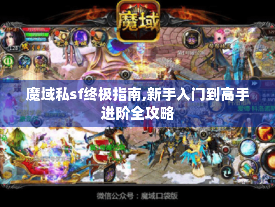 魔域私sf终极指南,新手入门到高手进阶全攻略