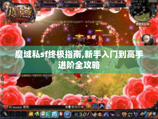 魔域私sf终极指南,新手入门到高手进阶全攻略