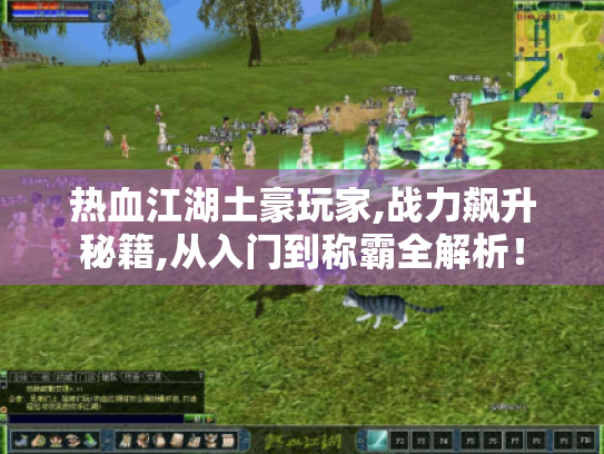 热血江湖土豪玩家,战力飙升秘籍,从入门到称霸全解析！