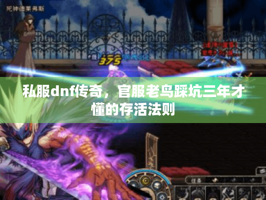 私服dnf传奇,官服老鸟踩坑三年才懂的存活法则 私服dnf传奇,官服老鸟踩坑三年才懂的存活法则