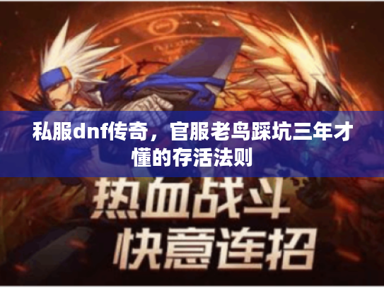 私服dnf传奇,官服老鸟踩坑三年才懂的存活法则 私服dnf传奇,官服老鸟踩坑三年才懂的存活法则