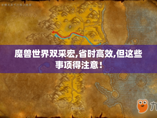 魔兽世界双采宏,省时高效,但这些事项得注意! 魔兽世界双采宏,省时高效,但这些事项得注意!