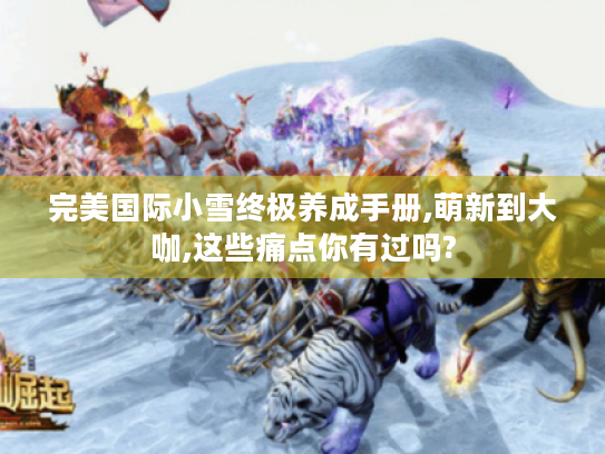 完美国际小雪终极养成手册,萌新到大咖,这些痛点你有过吗? 完美国际小雪终极养成手册,萌新到大咖,这些痛点你有过吗?