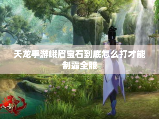 天龙手游峨眉宝石到底怎么打才能制霸全服