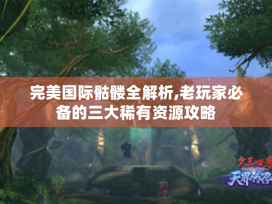 完美国际骷髅全解析,老玩家必备的三大稀有资源攻略 完美国际骷髅全解析,老玩家必备的三大稀有资源攻略