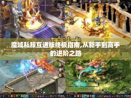 魔域私服互通版终极指南,从新手到高手的进阶之路 魔域私服互通版终极指南,从新手到高手的进阶之路