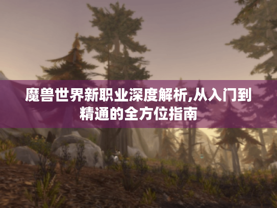 魔兽世界新职业深度解析,从入门到精通的全方位指南 魔兽世界新职业深度解析,从入门到精通的全方位指南