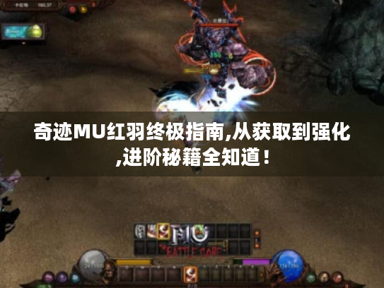 奇迹MU红羽终极指南,从获取到强化,进阶秘籍全知道! 奇迹MU红羽终极指南,从获取到强化,进阶秘籍全知道!