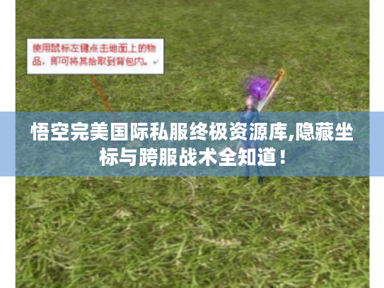 悟空完美国际私服终极资源库,隐藏坐标与跨服战术全知道! 悟空完美国际私服终极资源库,隐藏坐标与跨服战术全知道!