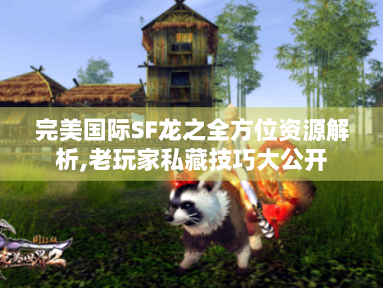 完美国际SF龙之全方位资源解析,老玩家私藏技巧大公开 完美国际SF龙之全方位资源解析,老玩家私藏技巧大公开