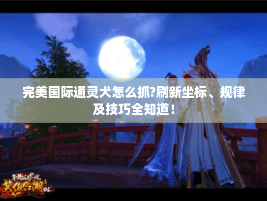 完美国际通灵犬怎么抓?刷新坐标、规律及技巧全知道! 完美国际通灵犬怎么抓?刷新坐标、规律及技巧全知道!