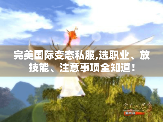 完美国际变态私服,选职业、放技能、注意事项全知道! 完美国际变态私服,选职业、放技能、注意事项全知道!