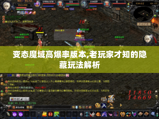 变态魔域高爆率版本,老玩家才知的隐藏玩法解析 变态魔域高爆率版本,老玩家才知的隐藏玩法解析