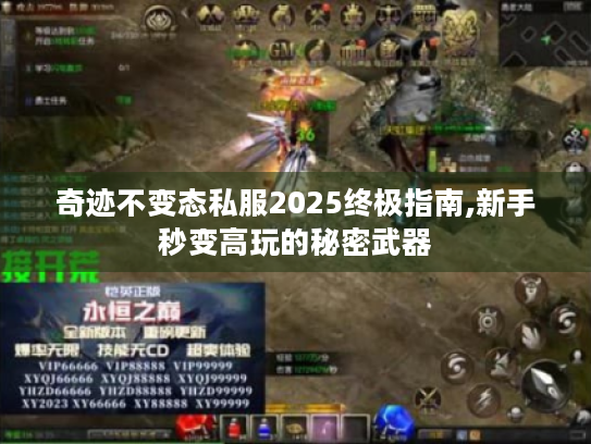 奇迹不变态私服2025终极指南,新手秒变高玩的秘密武器