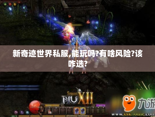 新奇迹世界私服,能玩吗?有啥风险?该咋选?