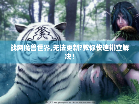 战网魔兽世界,无法更新?教你快速排查解决! 战网魔兽世界,无法更新?教你快速排查解决!