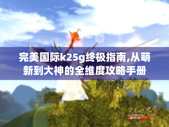 完美国际k25g终极指南,从萌新到大神的全维度攻略手册 完美国际k25g终极指南,从萌新到大神的全维度攻略手册