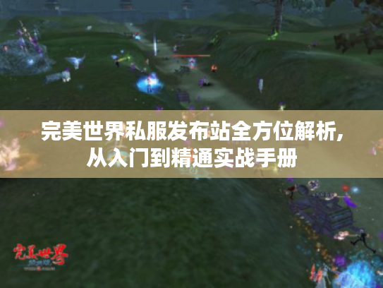 完美世界私服发布站全方位解析,从入门到精通实战手册 完美世界私服发布站全方位解析,从入门到精通实战手册