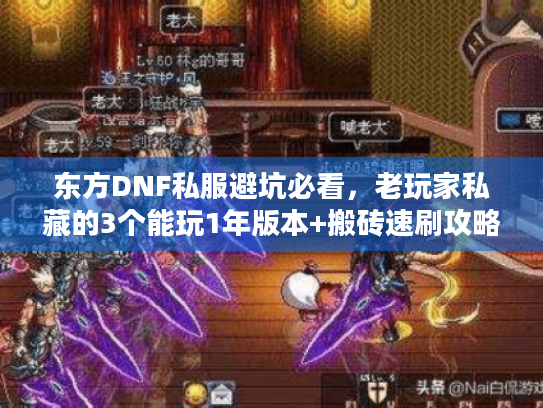 东方DNF私服避坑必看，老玩家私藏的3个能玩1年版本+搬砖速刷攻略