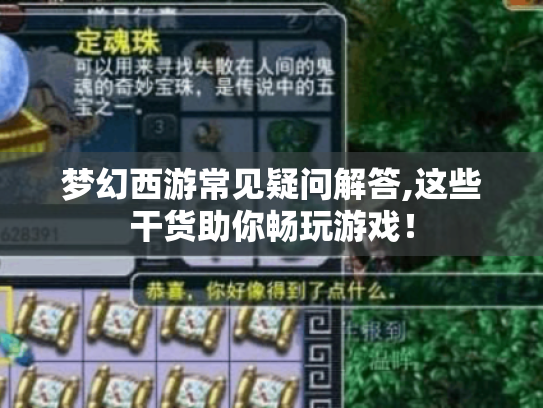 梦幻西游常见疑问解答,这些干货助你畅玩游戏! 梦幻西游常见疑问解答,这些干货助你畅玩游戏!