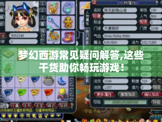 梦幻西游常见疑问解答,这些干货助你畅玩游戏! 梦幻西游常见疑问解答,这些干货助你畅玩游戏!