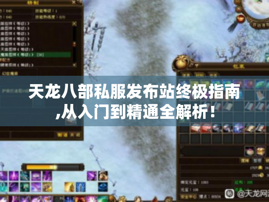 天龙八部私服发布站终极指南,从入门到精通全解析! 天龙八部私服发布站终极指南,从入门到精通全解析!
