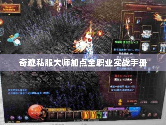 奇迹私服大师加点全职业实战手册 奇迹私服大师加点全职业实战手册