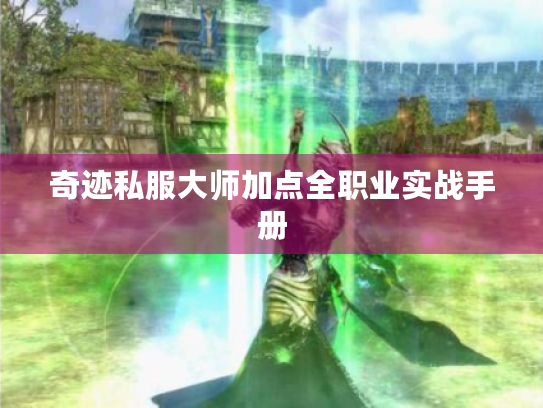 奇迹私服大师加点全职业实战手册 奇迹私服大师加点全职业实战手册