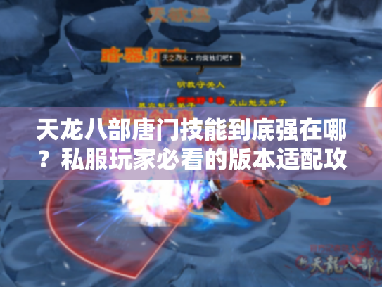 天龙八部唐门技能到底强在哪?私服玩家必看的版本适配攻略与实战连招 天龙八部唐门技能到底强在哪?私服玩家必看的版本适配攻略与实战连招