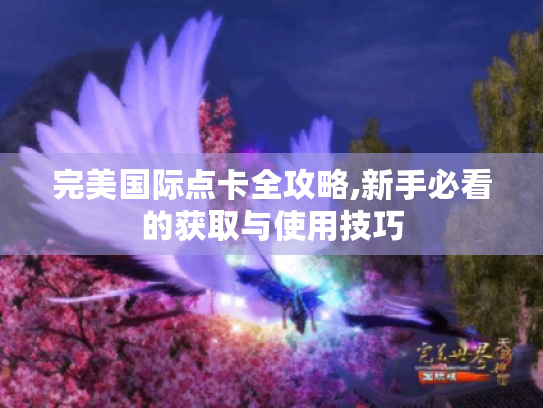 完美国际点卡全攻略,新手必看的获取与使用技巧 完美国际点卡全攻略,新手必看的获取与使用技巧