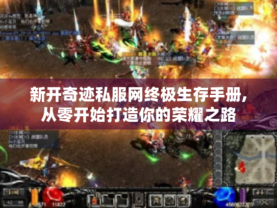 新开奇迹私服网终极生存手册,从零开始打造你的荣耀之路