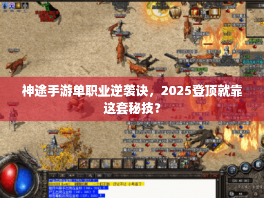 神途手游单职业逆袭诀，2025登顶就靠这套秘技？