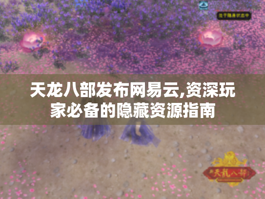 天龙八部发布网易云,资深玩家必备的隐藏资源指南 天龙八部发布网易云,资深玩家必备的隐藏资源指南