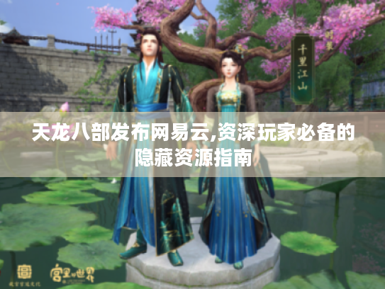 天龙八部发布网易云,资深玩家必备的隐藏资源指南 天龙八部发布网易云,资深玩家必备的隐藏资源指南