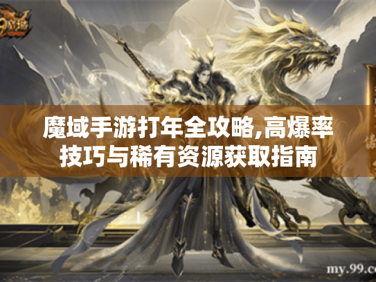 魔域手游打年全攻略,高爆率技巧与稀有资源获取指南 魔域手游打年全攻略,高爆率技巧与稀有资源获取指南