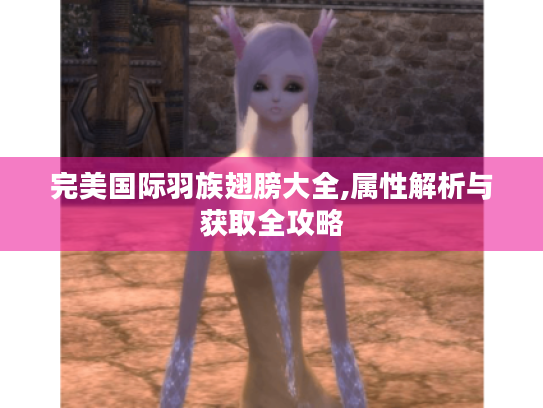 完美国际羽族翅膀大全,属性解析与获取全攻略 完美国际羽族翅膀大全,属性解析与获取全攻略